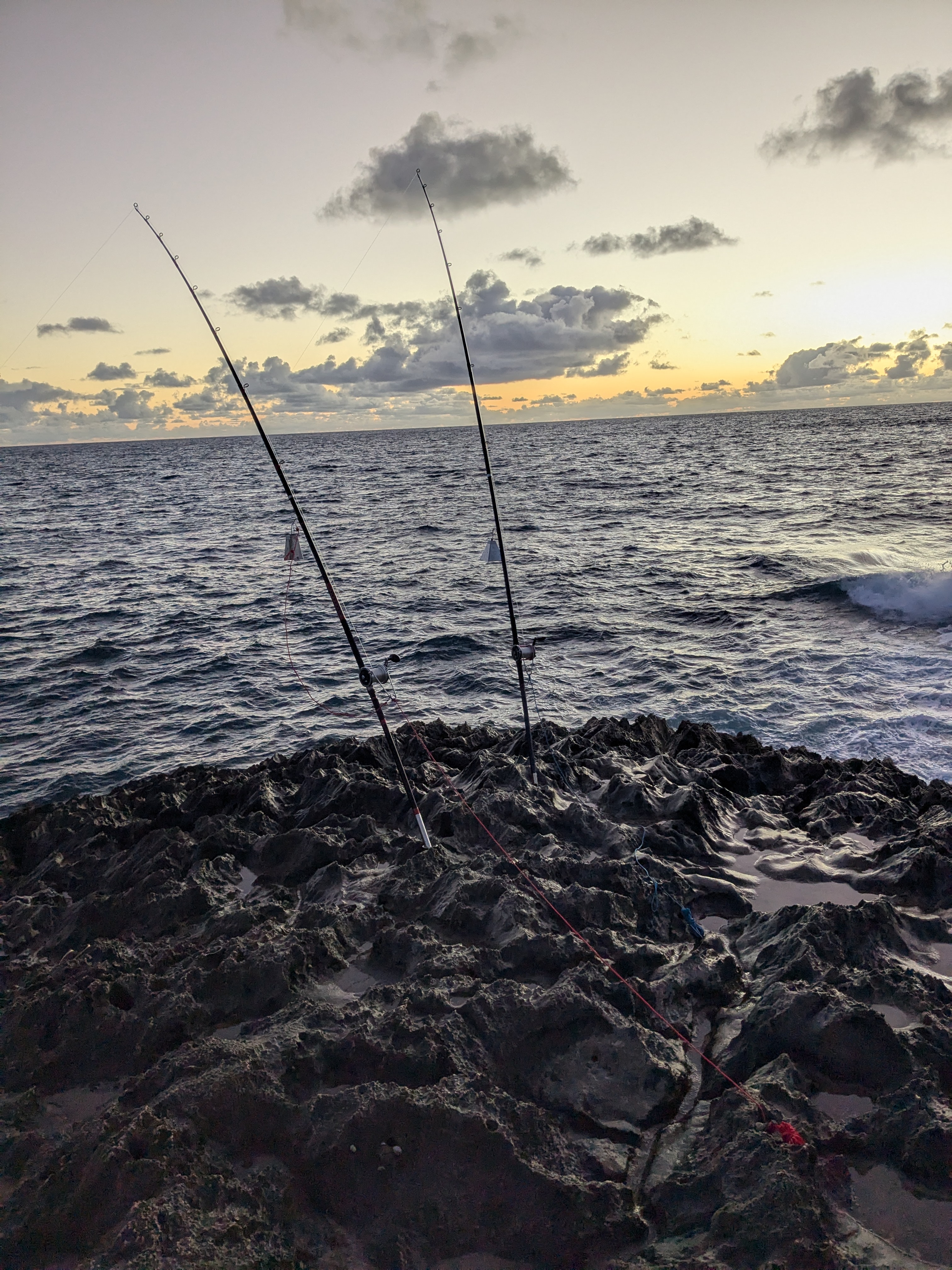 Fishing rods on the rocky shore at dawn