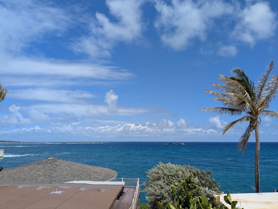 Panoramic Pacific Ocean view with palm tree